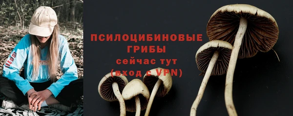 2c-b Баксан