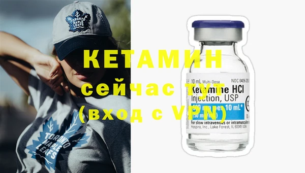 сатива Балахна