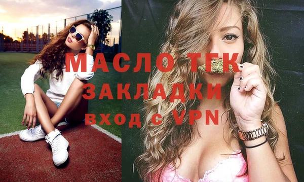 индика Струнино