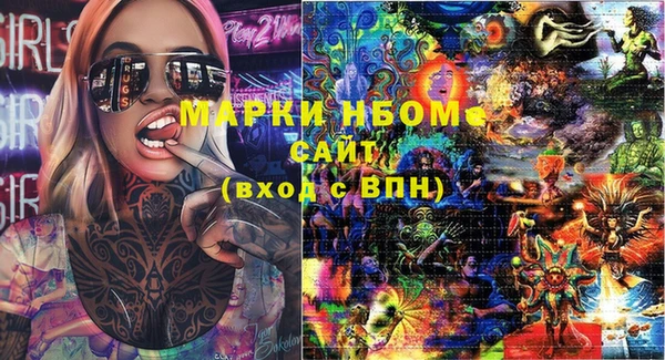 сатива Балахна