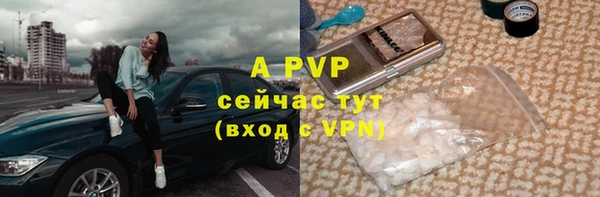 сатива Балахна